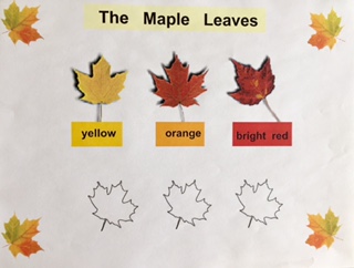 A customized worksheet matching yellow, orange and bright red maple leaves to their colour words.